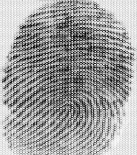 Fingerprint