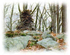 Twig cairn
