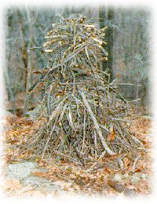 Twig cairn