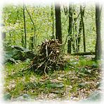 Twig cairn