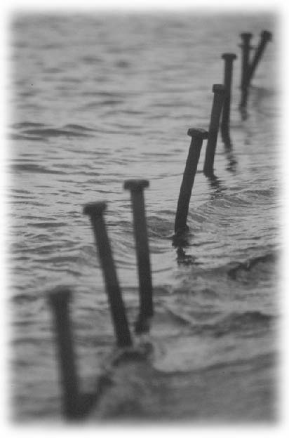 sea bolts